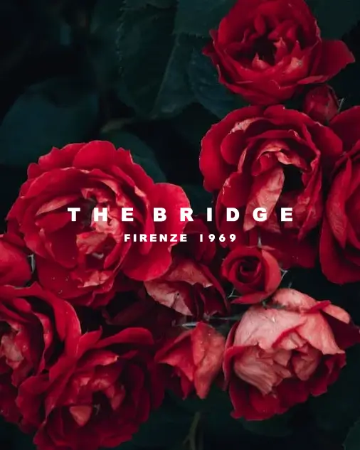 THE BRIDGE